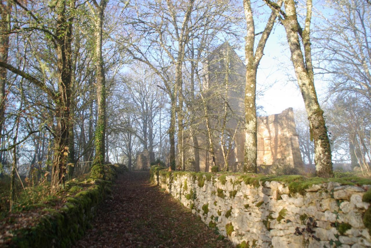 Villa Les Maisons du Cheylard-Lascaux à Les Farges  Extérieur photo