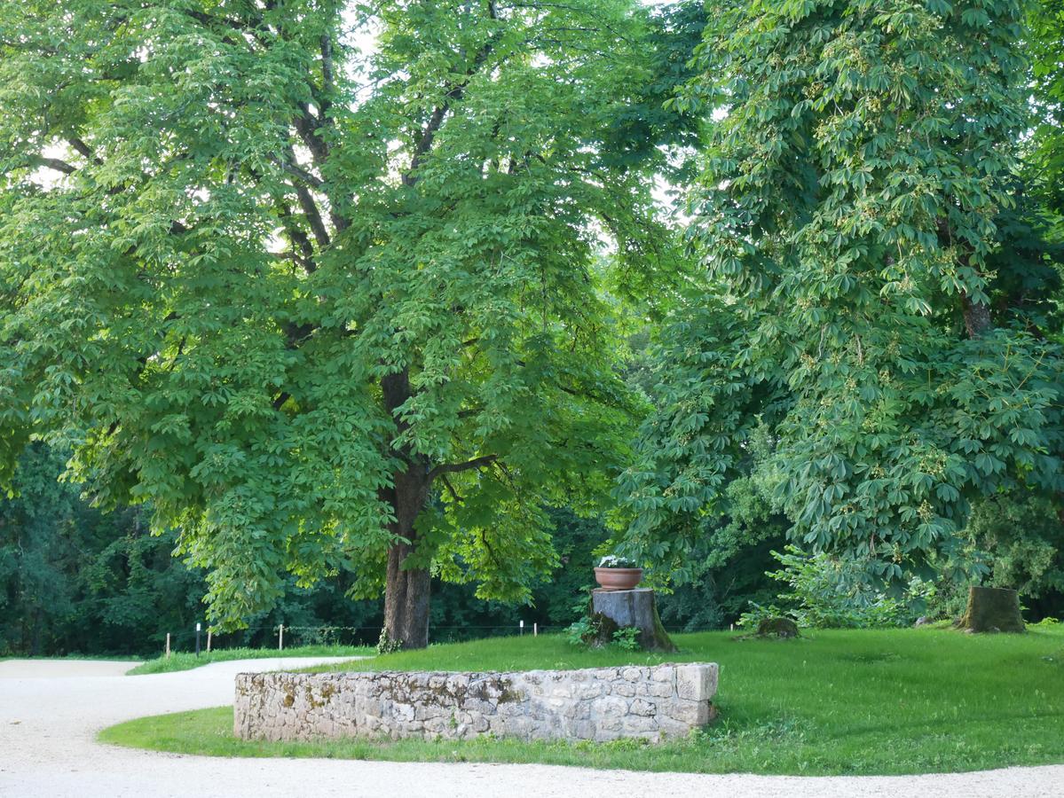 Villa Les Maisons du Cheylard-Lascaux à Les Farges  Extérieur photo